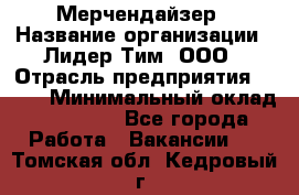 Мерчендайзер › Название организации ­ Лидер Тим, ООО › Отрасль предприятия ­ BTL › Минимальный оклад ­ 17 000 - Все города Работа » Вакансии   . Томская обл.,Кедровый г.